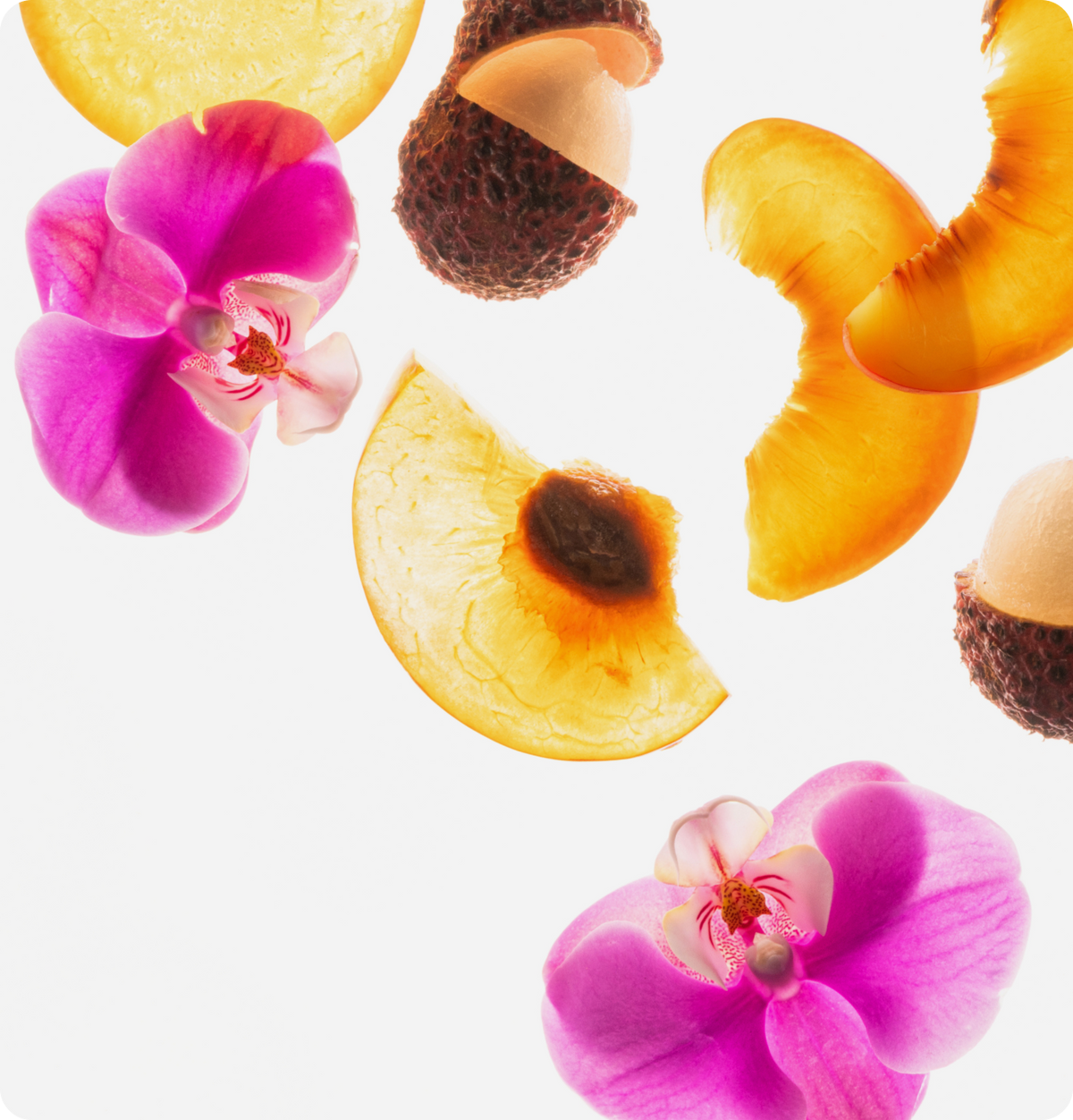 Fruity Floral Collection
